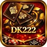 DK222 Game