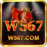 W567 Game