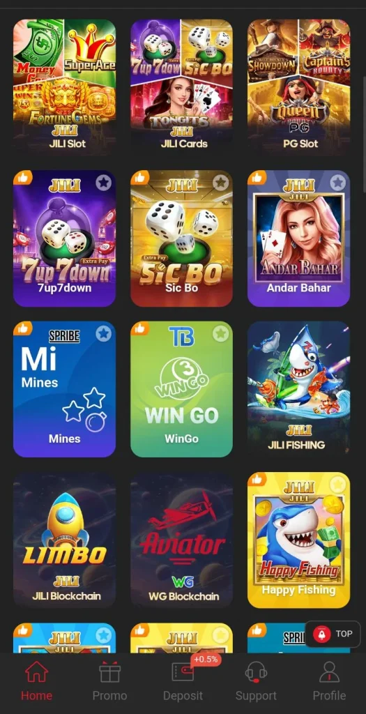 zc777-game-interface